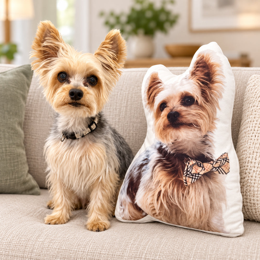 Yorkshire terrier beside a personalized dog-shaped photo pillow.