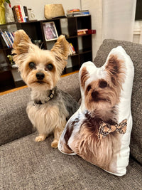 🐾 Custom Pillows with Animals